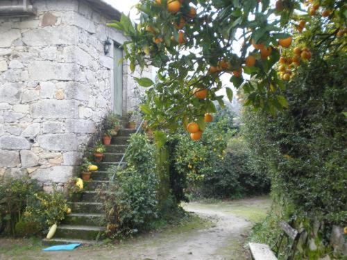 Quinta De S.Vicente Hotel Geraz do Minho Exterior photo